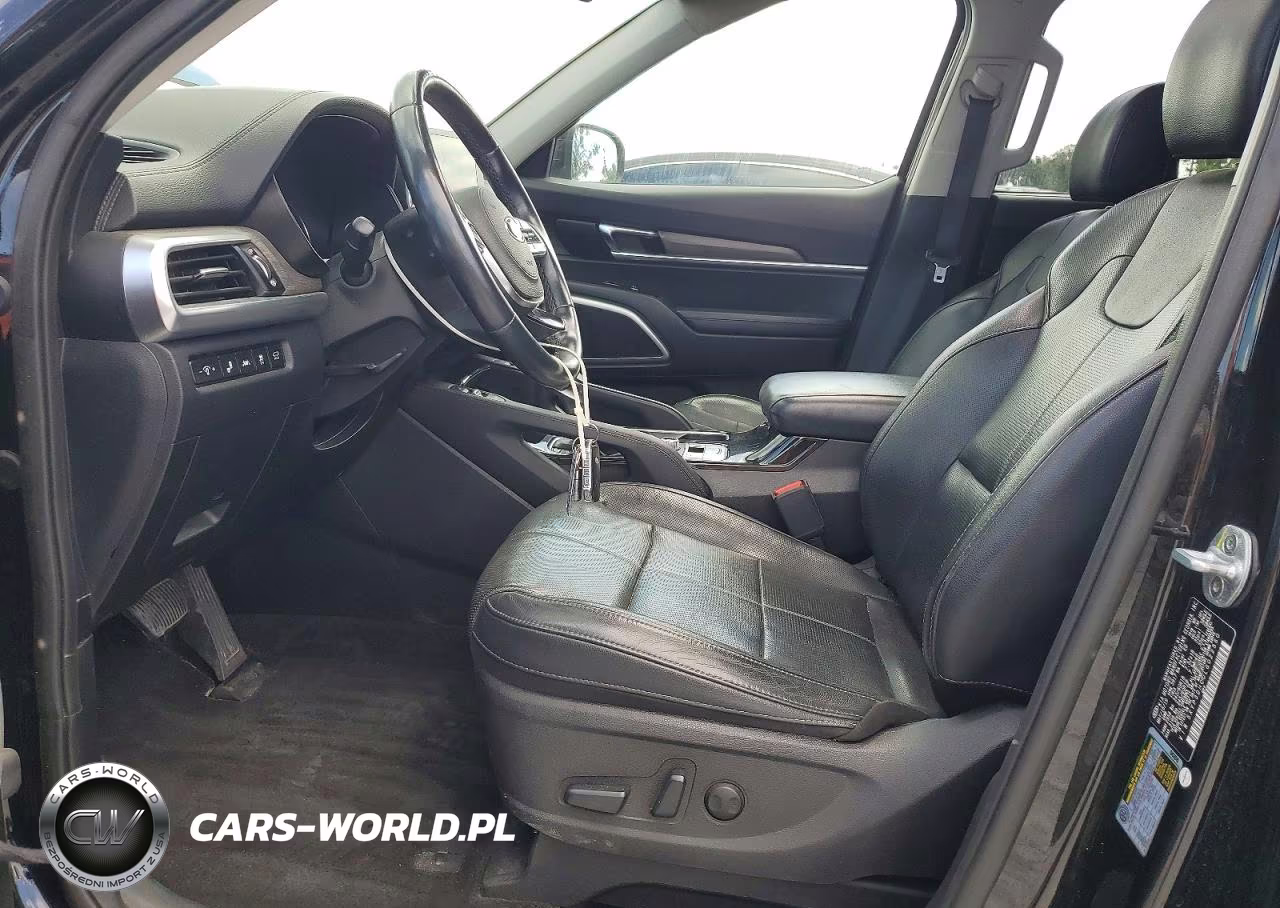 2020 Kia Telluride Ex VIN:5XYP3DHC0LG022560 - 7