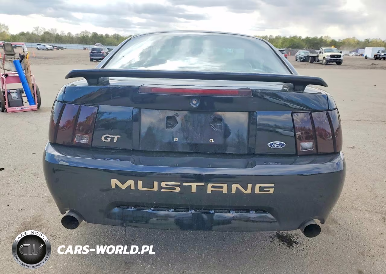 2004 Ford Mustang Gt VIN:1FAFP42X74F128073 - 6