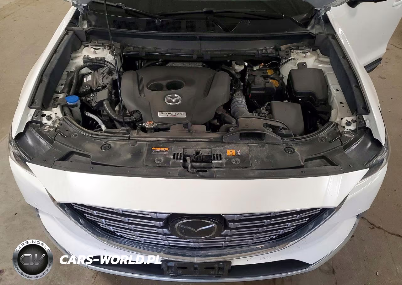 2023 Mazda Cx-9 Signature VIN:JM3TCBEY1P0634840 - 12