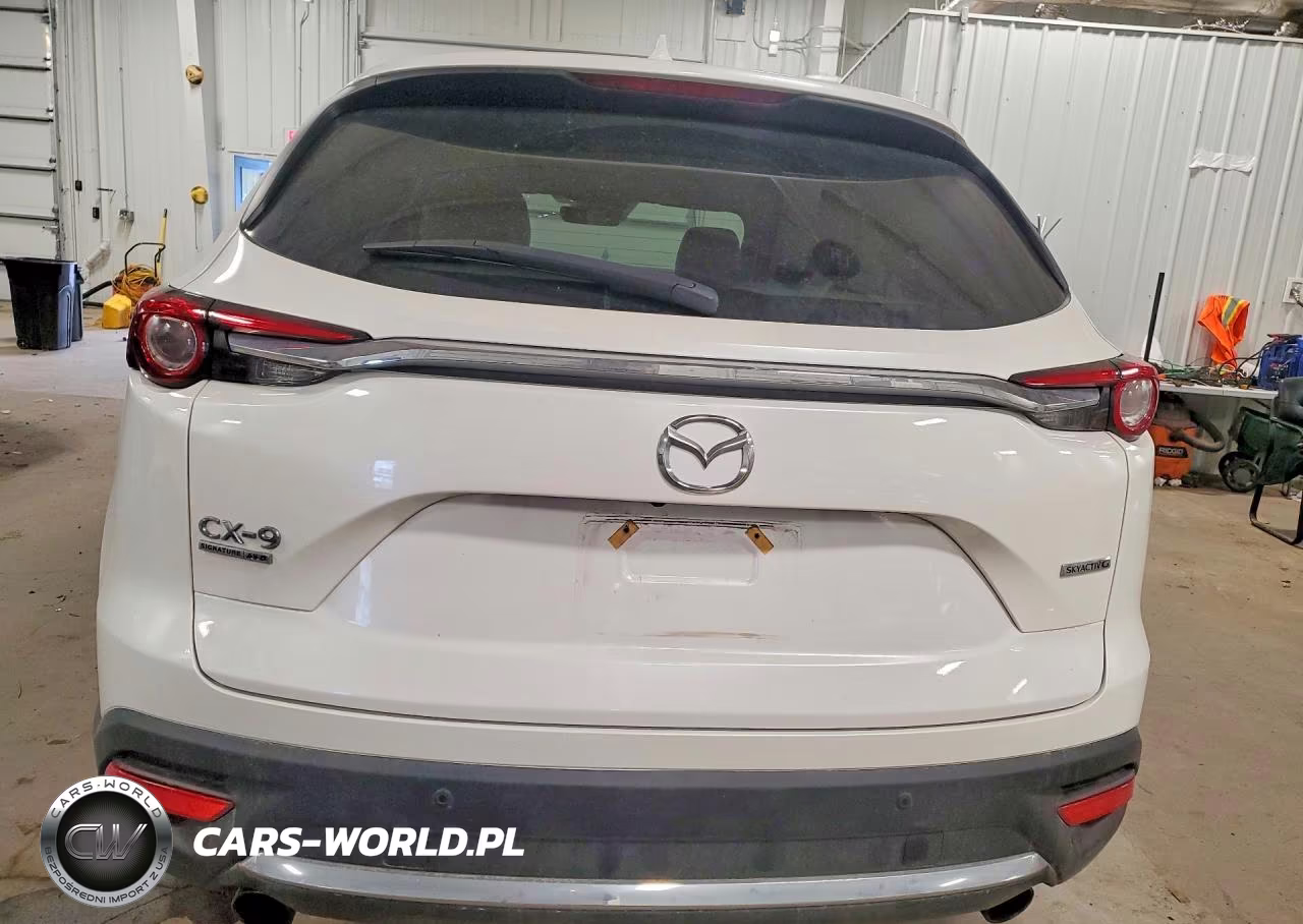 2023 Mazda Cx-9 Signature VIN:JM3TCBEY1P0634840 - 6