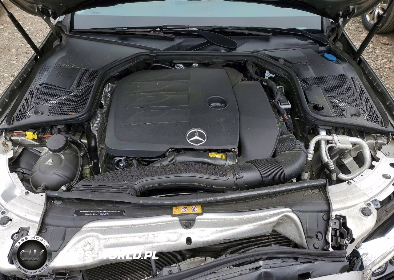 2019 Mercedes-Benz C VIN:55SWF8DB6KU289648 - 11