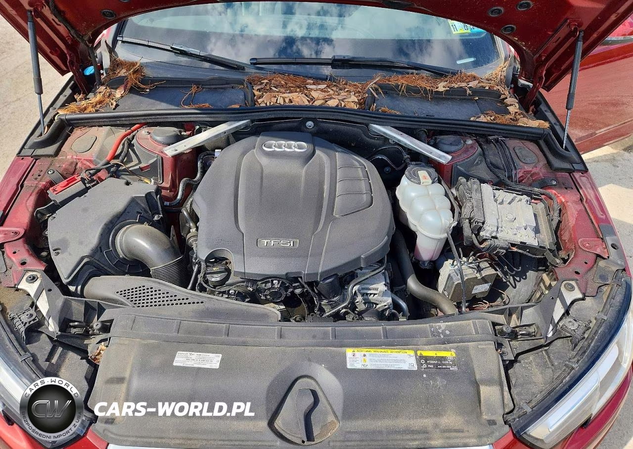 2019 Audi A4 Premium Plus VIN:WAUENAF44KA081473 - 11