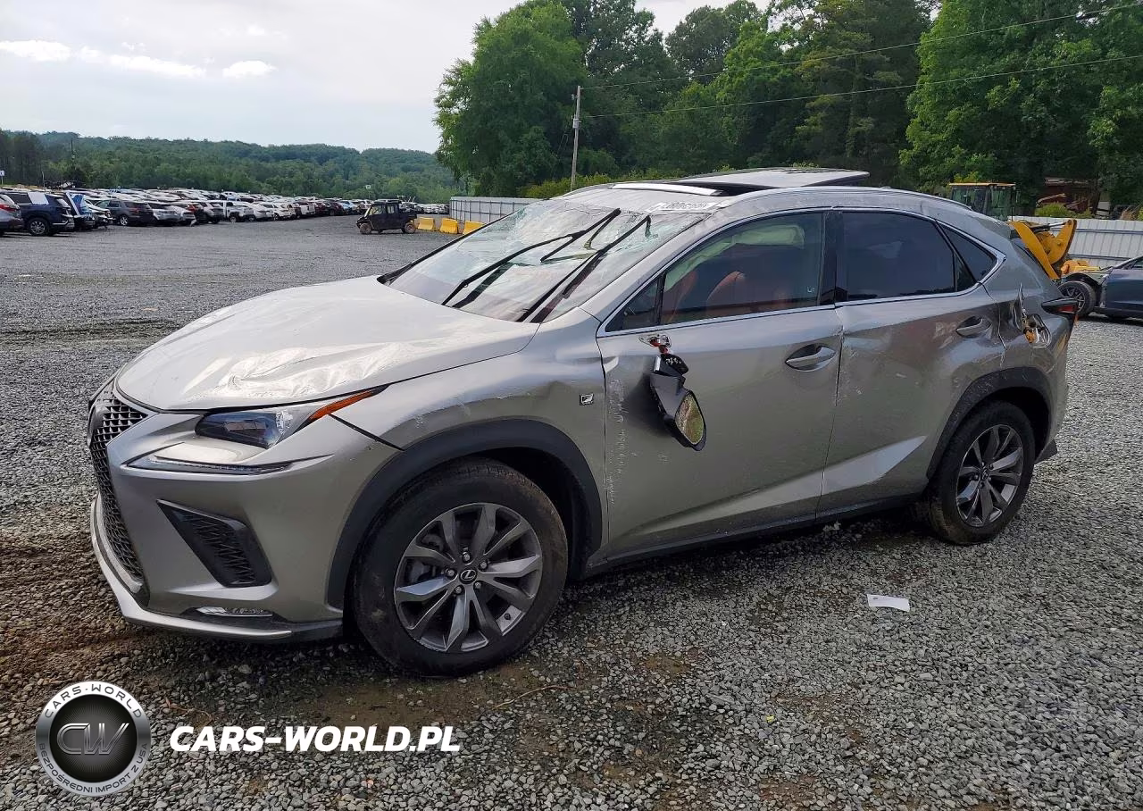 2020 Lexus Nx 300 F Sport