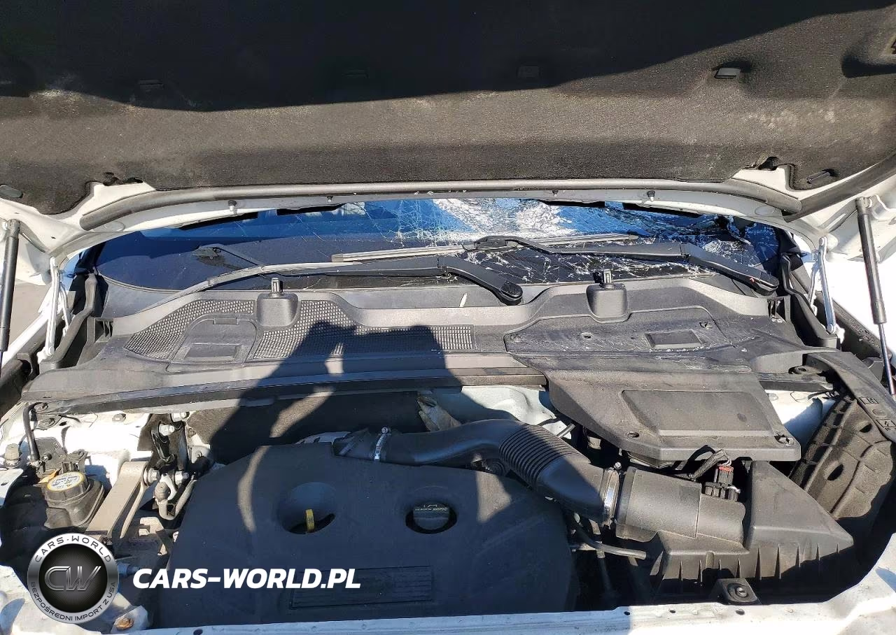 2017 Land Rover Discovery Sport Hse VIN:SALCR2BG9HH699465 - 11