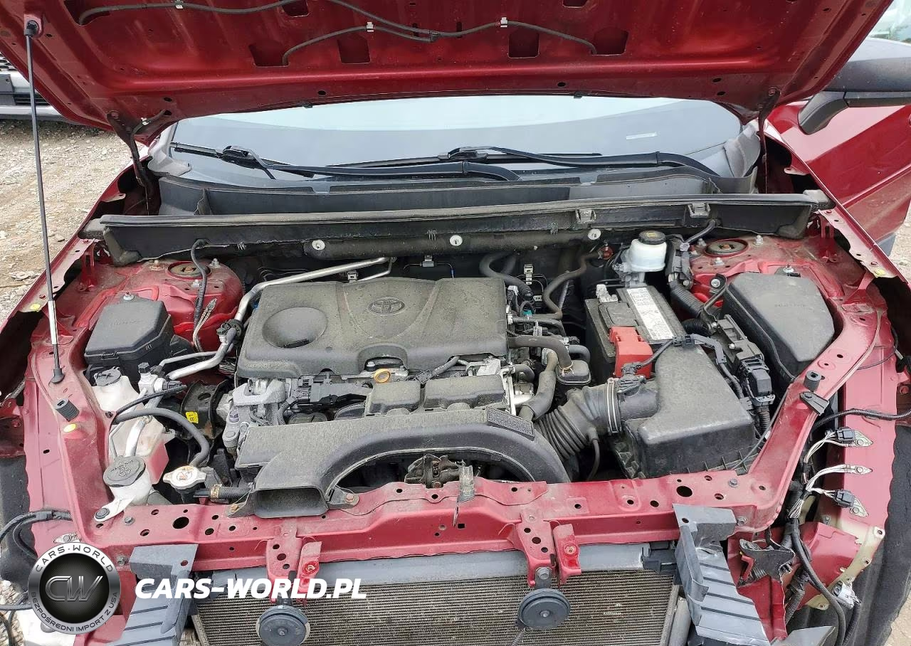 2019 Toyota Rav4 Le VIN:2T3H1RFV3KC019617 - 12