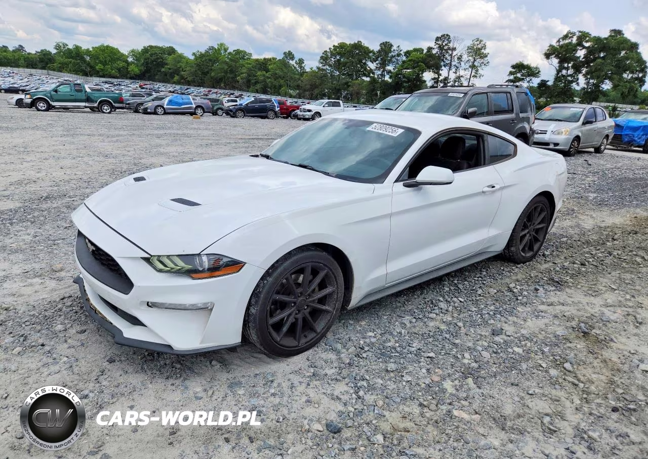 2019 Ford Mustang