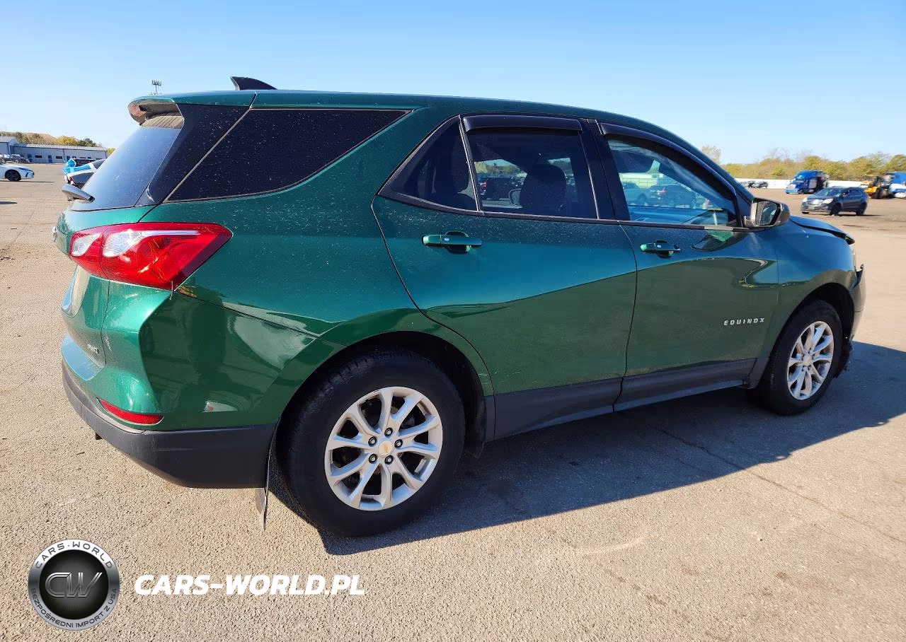 2019 Chevrolet Equinox Ls VIN:2GNAXSEV3K6223022 - 3