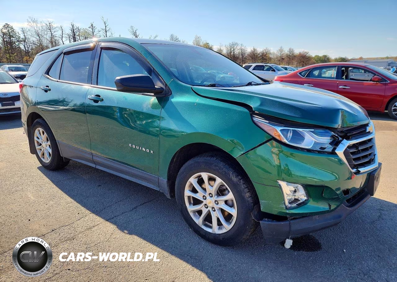 2019 Chevrolet Equinox Ls VIN:2GNAXSEV3K6223022 - 4