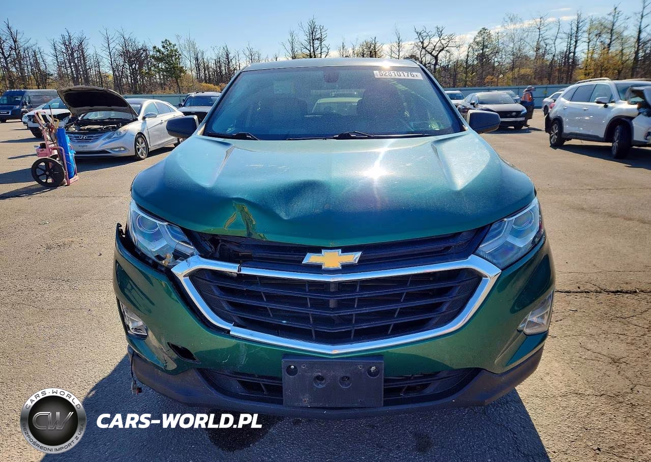 2019 Chevrolet Equinox Ls VIN:2GNAXSEV3K6223022 - 5