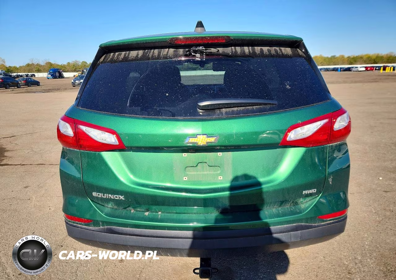 2019 Chevrolet Equinox Ls VIN:2GNAXSEV3K6223022 - 6