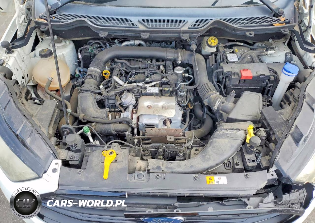 2019 Ford Ecosport S VIN:MAJ3S2FE0KC282024 - 11
