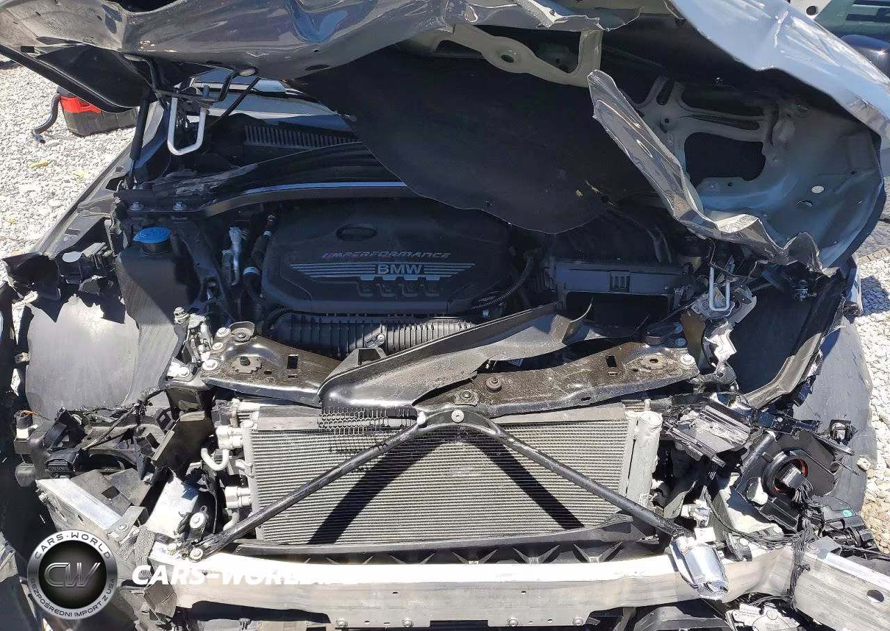 2021 BMW M235I VIN:WBA13AL03M7H39793 - 11