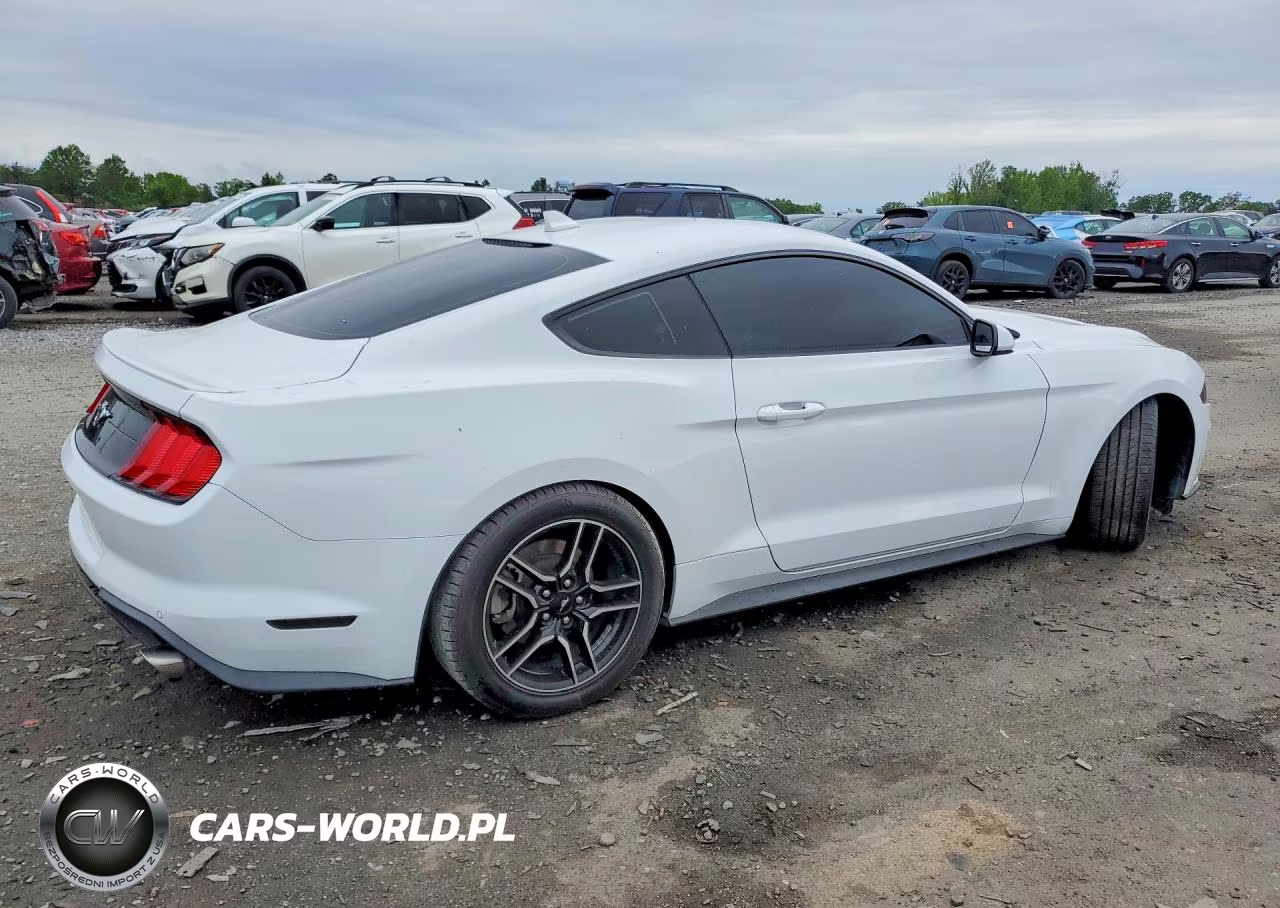 2022 Ford Mustang VIN:1FA6P8TH7N5102059 - 3
