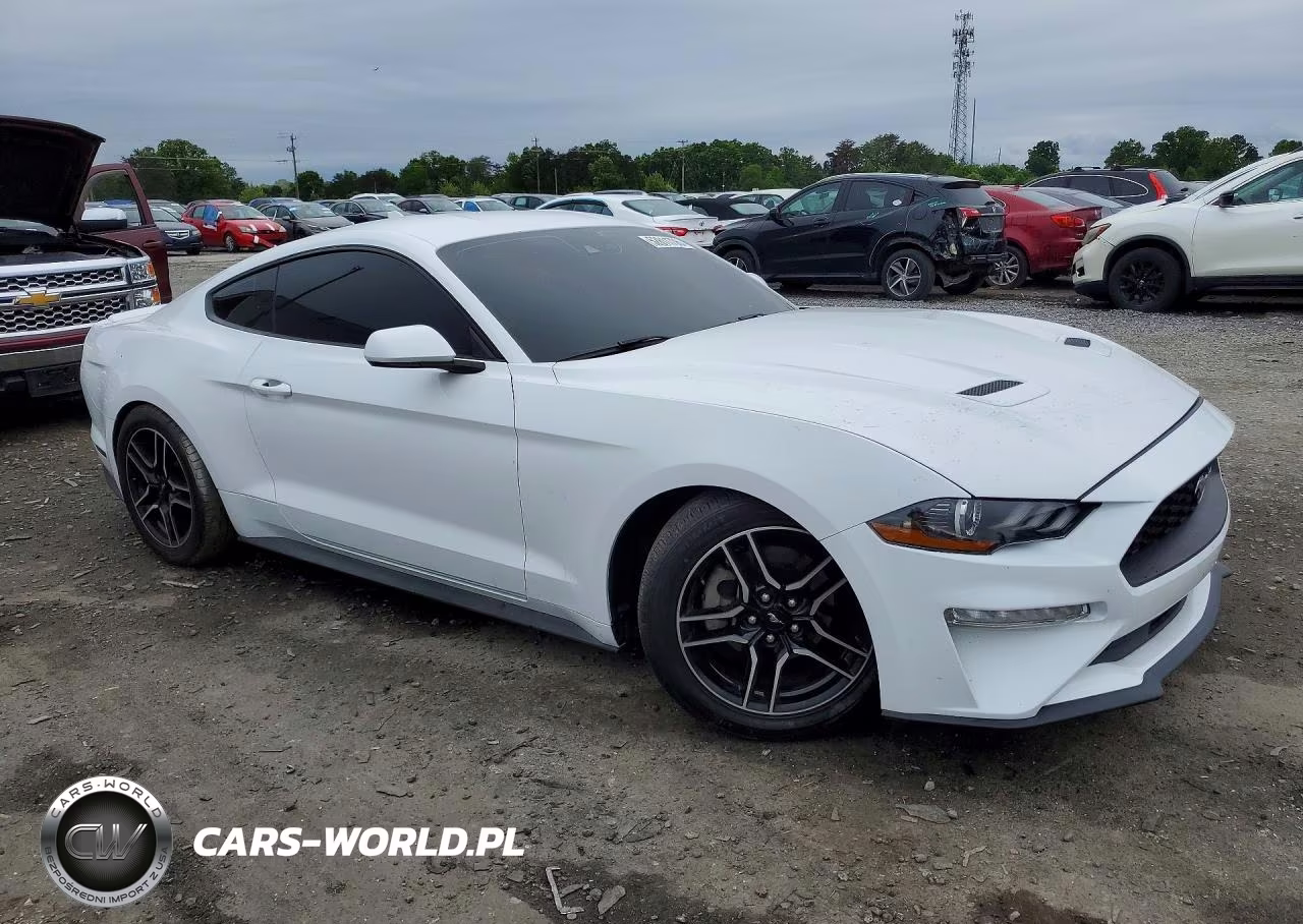 2022 Ford Mustang VIN:1FA6P8TH7N5102059 - 4
