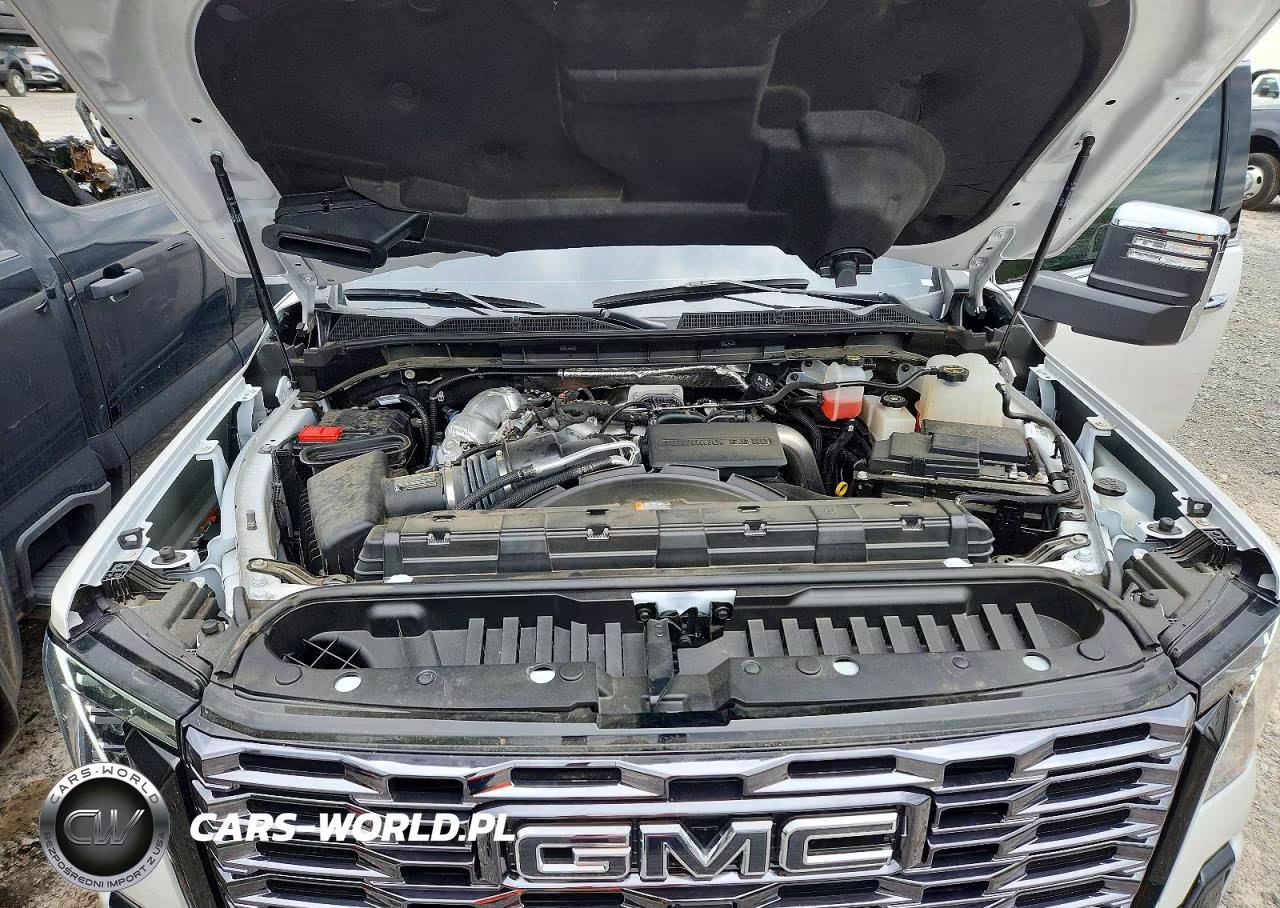 2025 GMC Sierra K2500 Denali Ultimate VIN:1GT4UXEY2SF235934 - 11