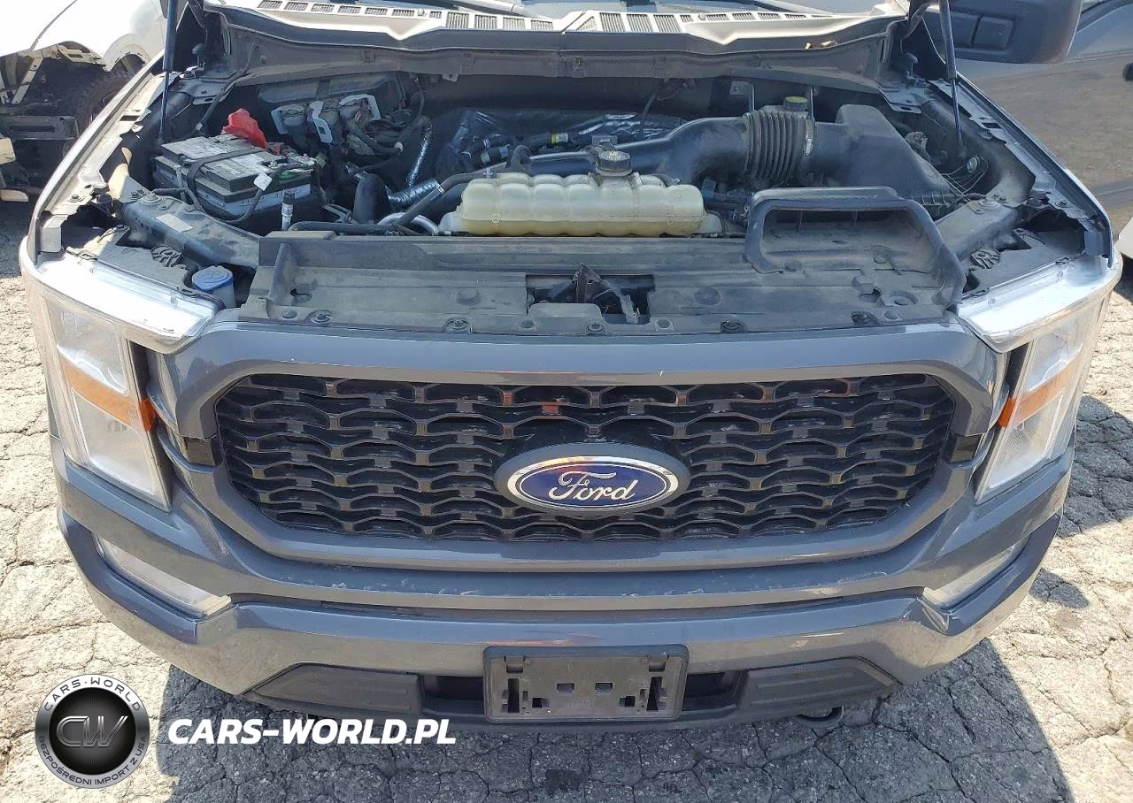 2021 Ford F150 Supercrew VIN:1FTEW1EP0MFB62679 - 11