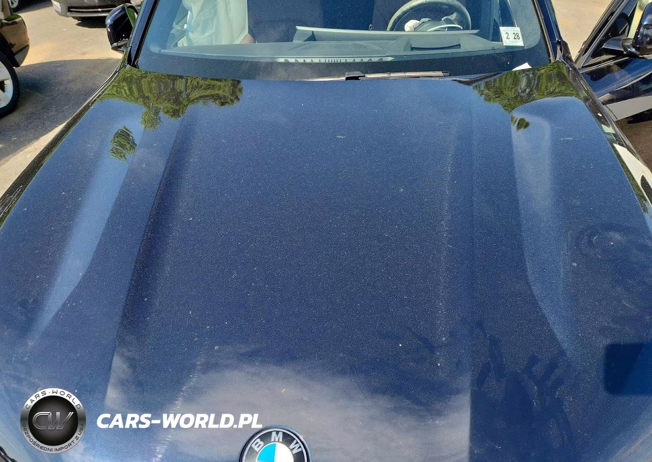 2023 BMW X7 xDrive40I VIN:5UX23EM0XP9R30984 - 12