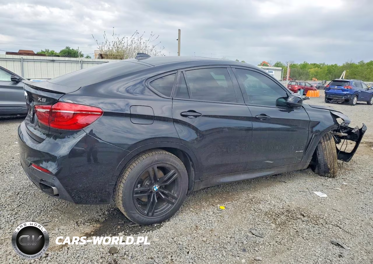 2015 BMW X6 xDrive50I VIN:5UXKU6C57F0F93826 - 3