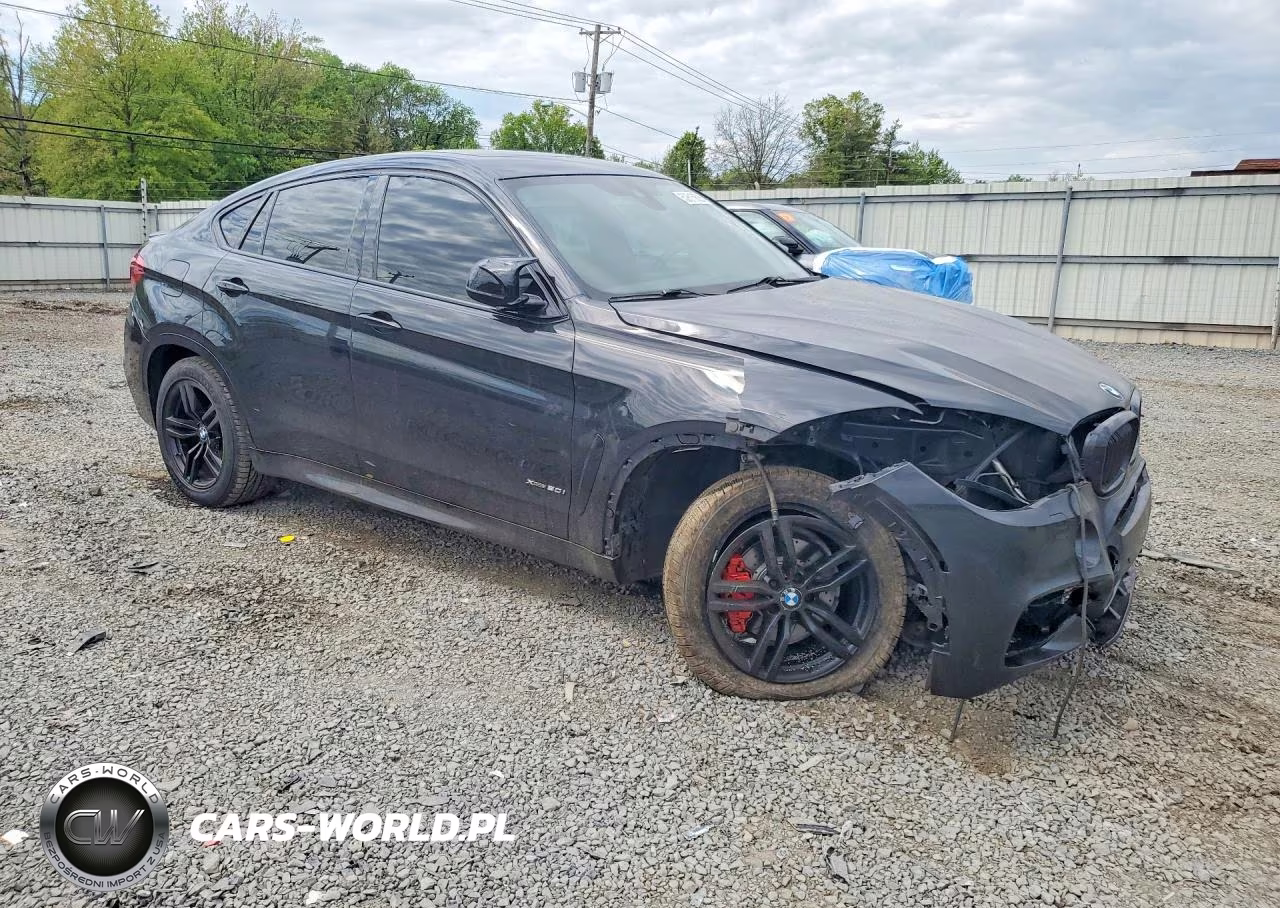 2015 BMW X6 xDrive50I VIN:5UXKU6C57F0F93826 - 4