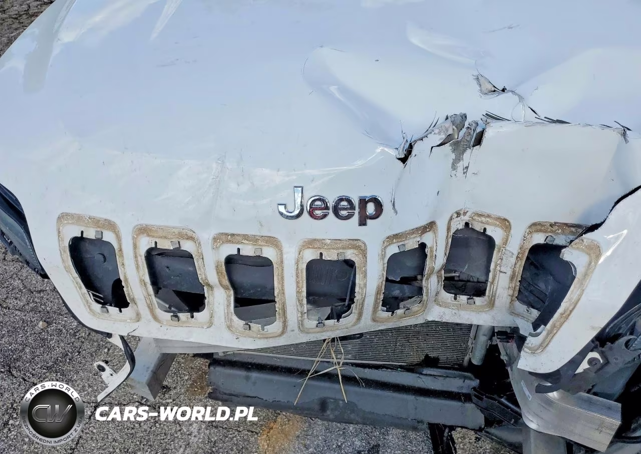 2020 Jeep Cherokee Limited VIN:1C4PJLDB8LD502955 - 12