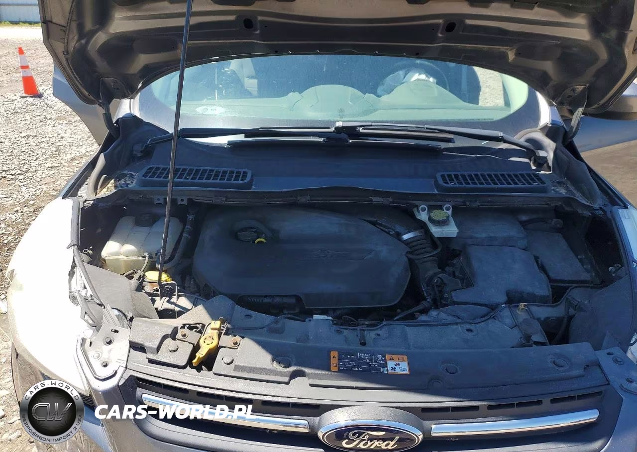 2014 Ford Escape Se VIN:1FMCU0GX6EUB70301 - 12