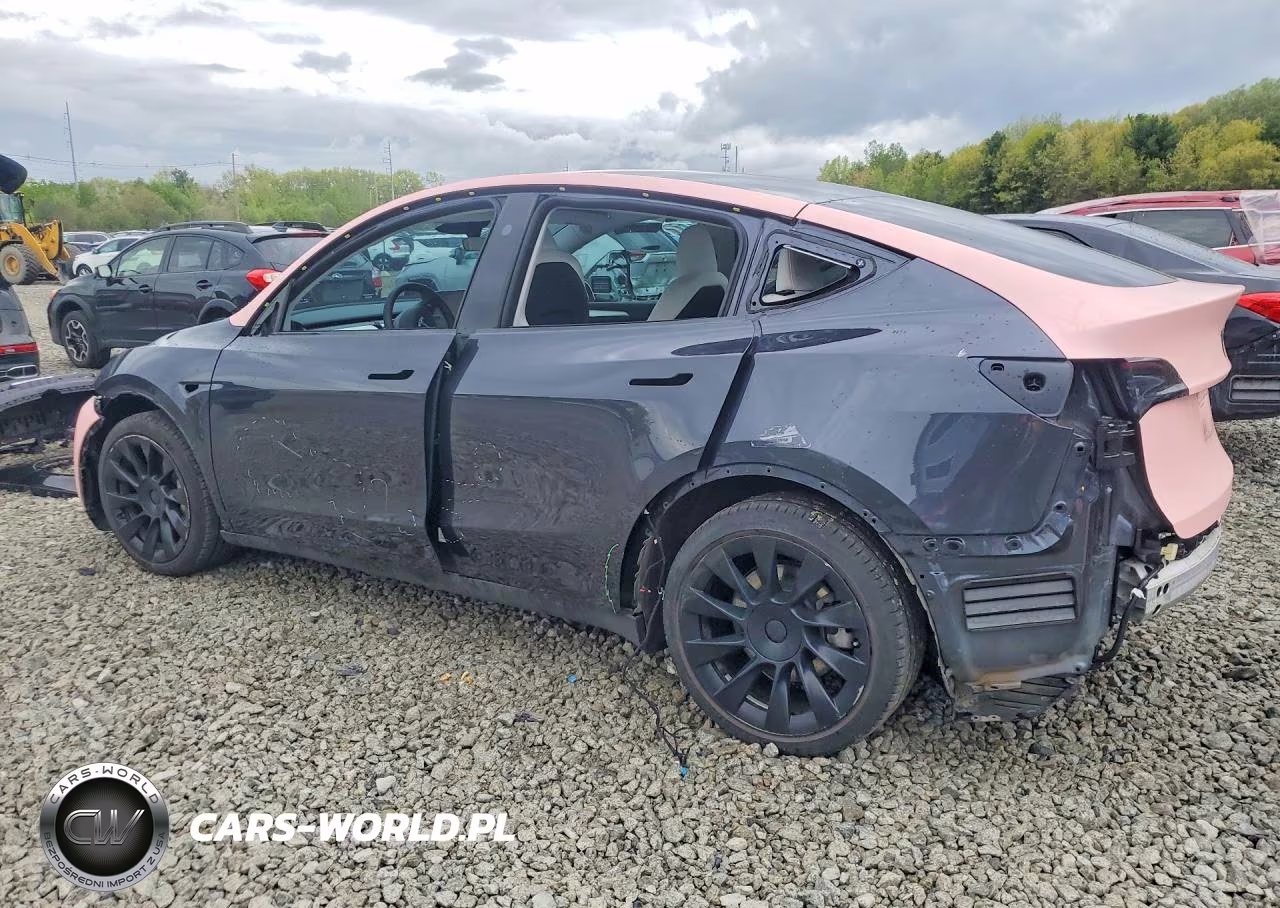 2024 Tesla Model Y VIN:7SAYGAEEXRF020105 - 2