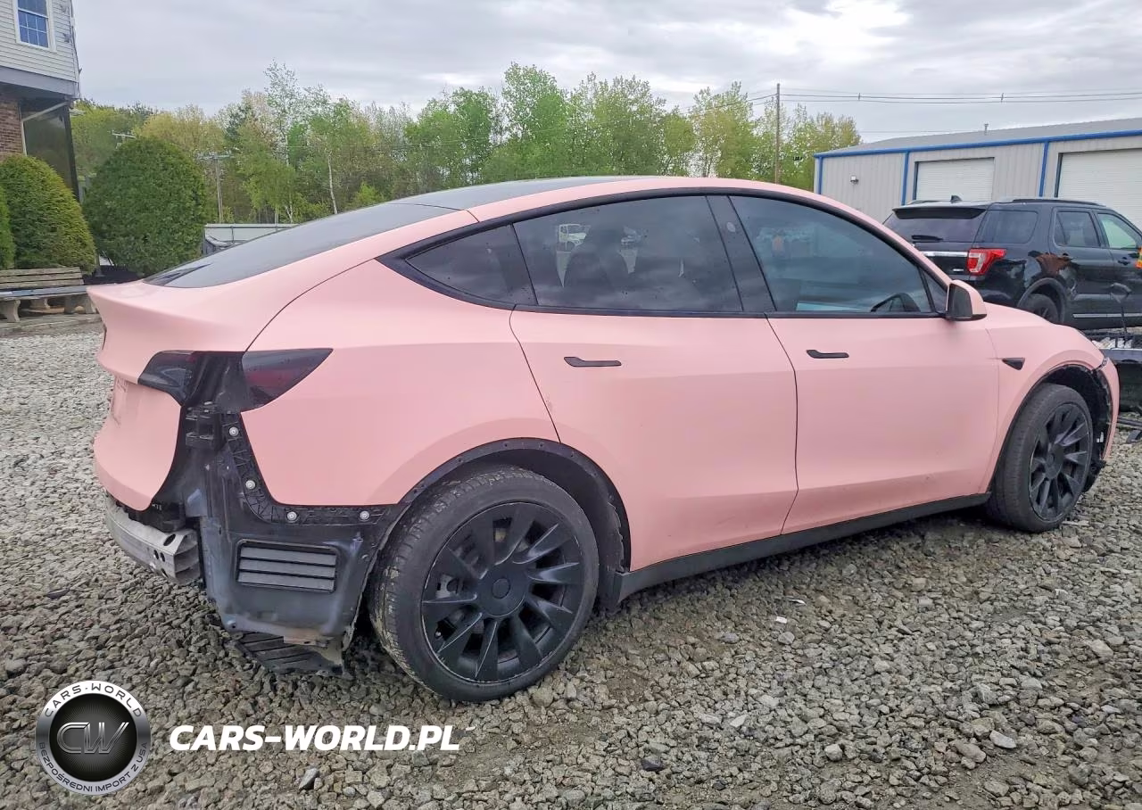 2024 Tesla Model Y VIN:7SAYGAEEXRF020105 - 3