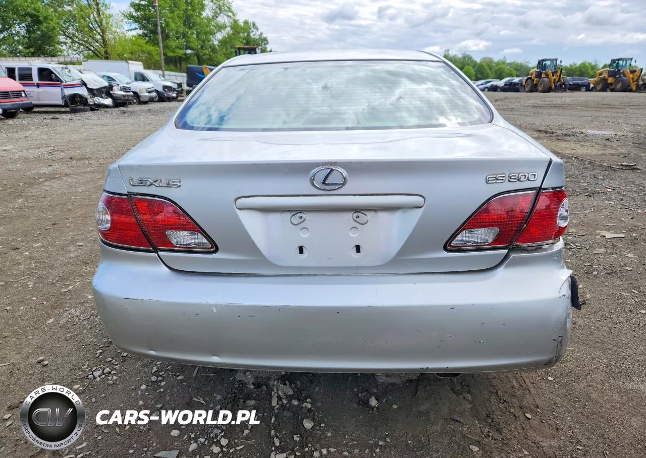 2002 Lexus Es 300 VIN:JTHBF30G520033955 - 6