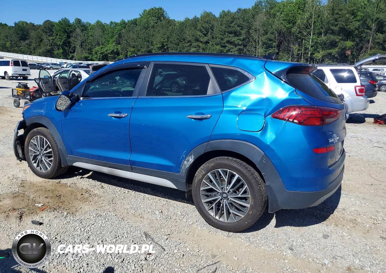 2019 Hyundai Tucson Ultimate VIN:KM8J33AL8KU008019 - 2