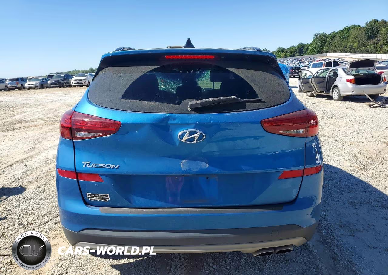 2019 Hyundai Tucson Ultimate VIN:KM8J33AL8KU008019 - 6