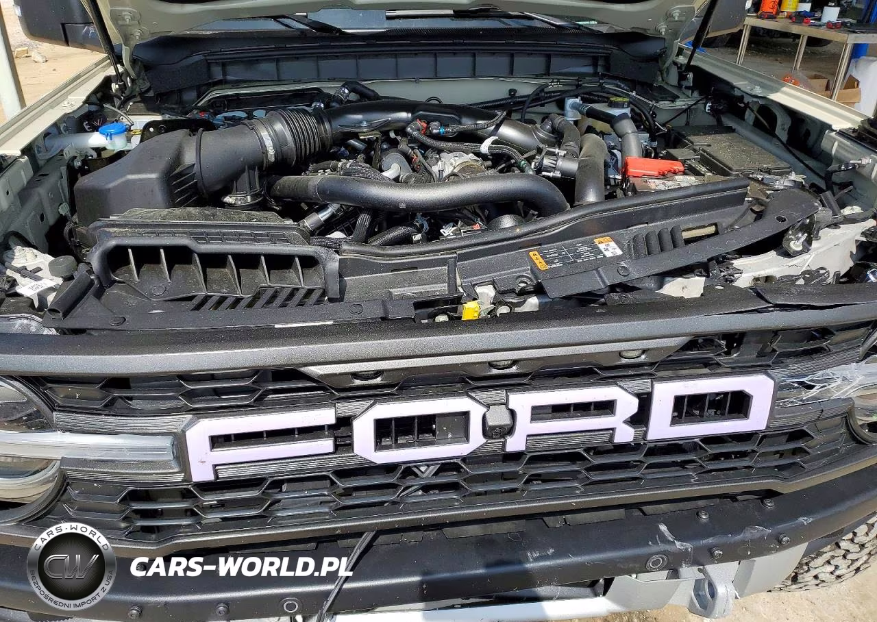 2025 Ford Bronco Raptor VIN:1FMEE0RR0SLB63902 - 12