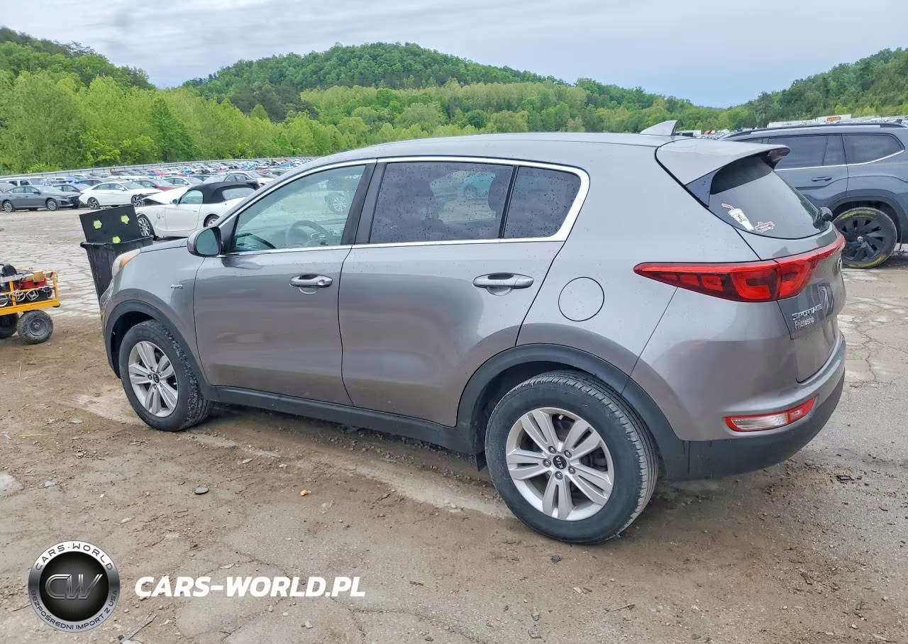2019 Kia Sportage Lx VIN:KNDPMCAC7K7551825 - 2