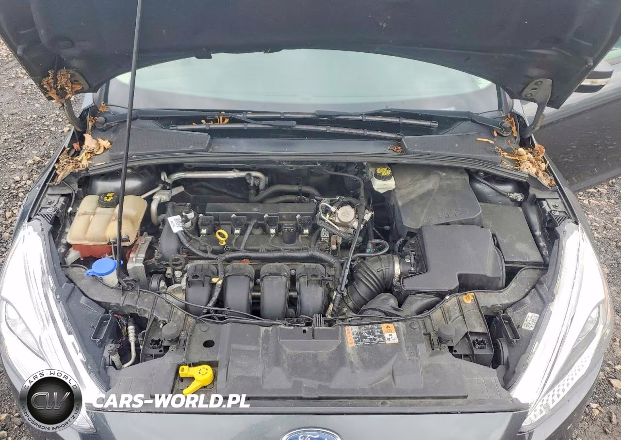 2017 Ford Focus Se VIN:1FADP3F27HL275291 - 11