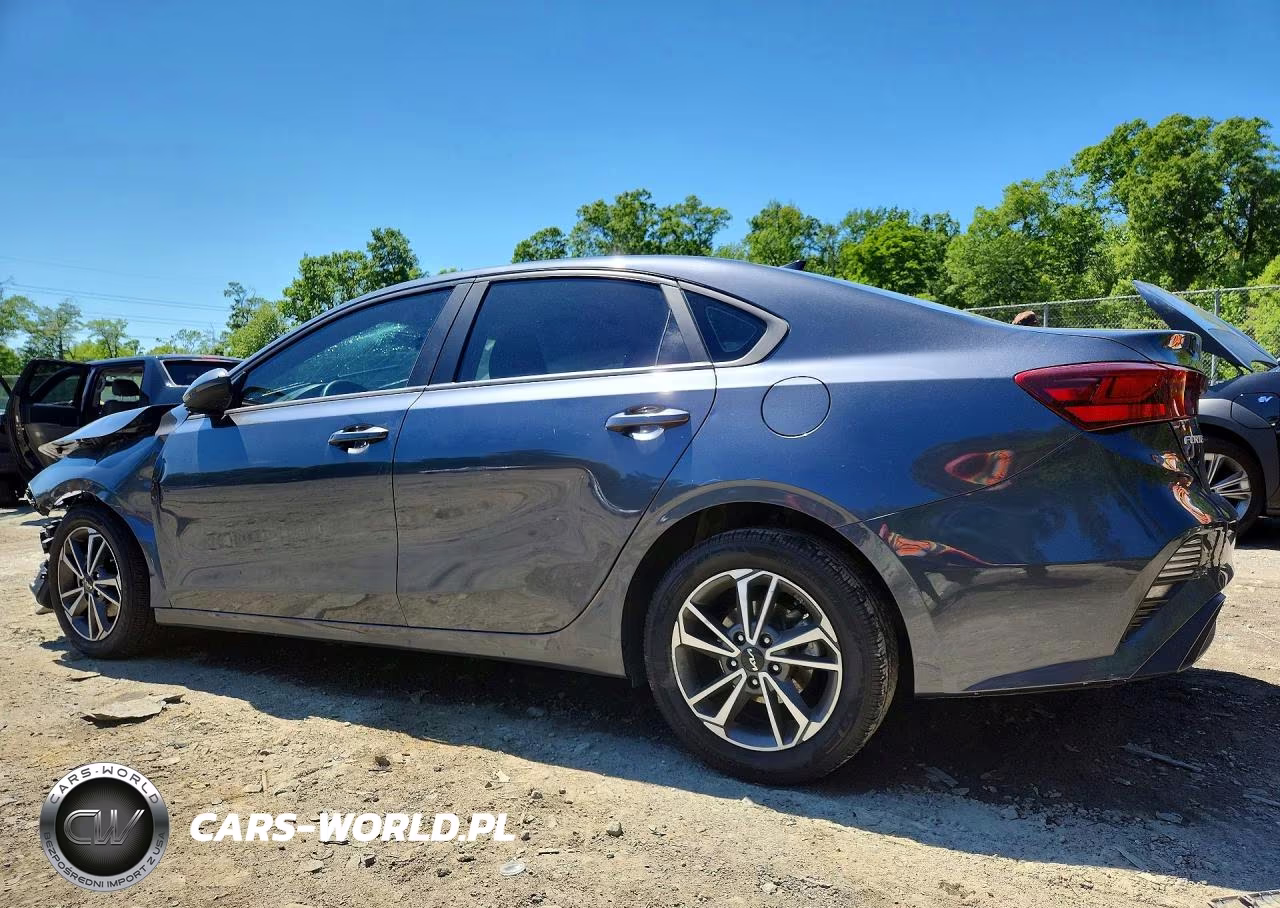 2022 Kia Forte Lxs VIN:3KPF24AD4NE482046 - 2