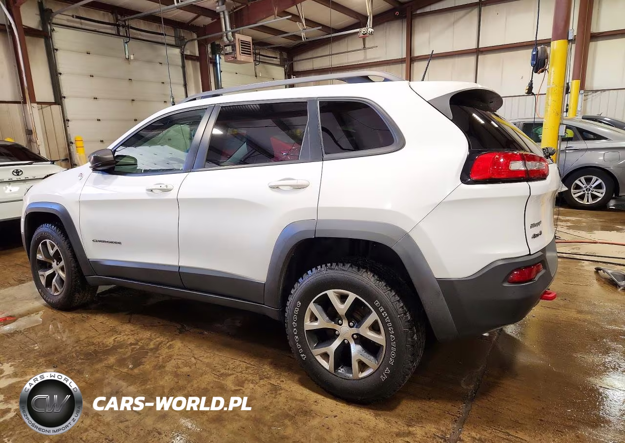 2017 Jeep Cherokee Trailhawk VIN:1C4PJMBS4HD217573 - 2