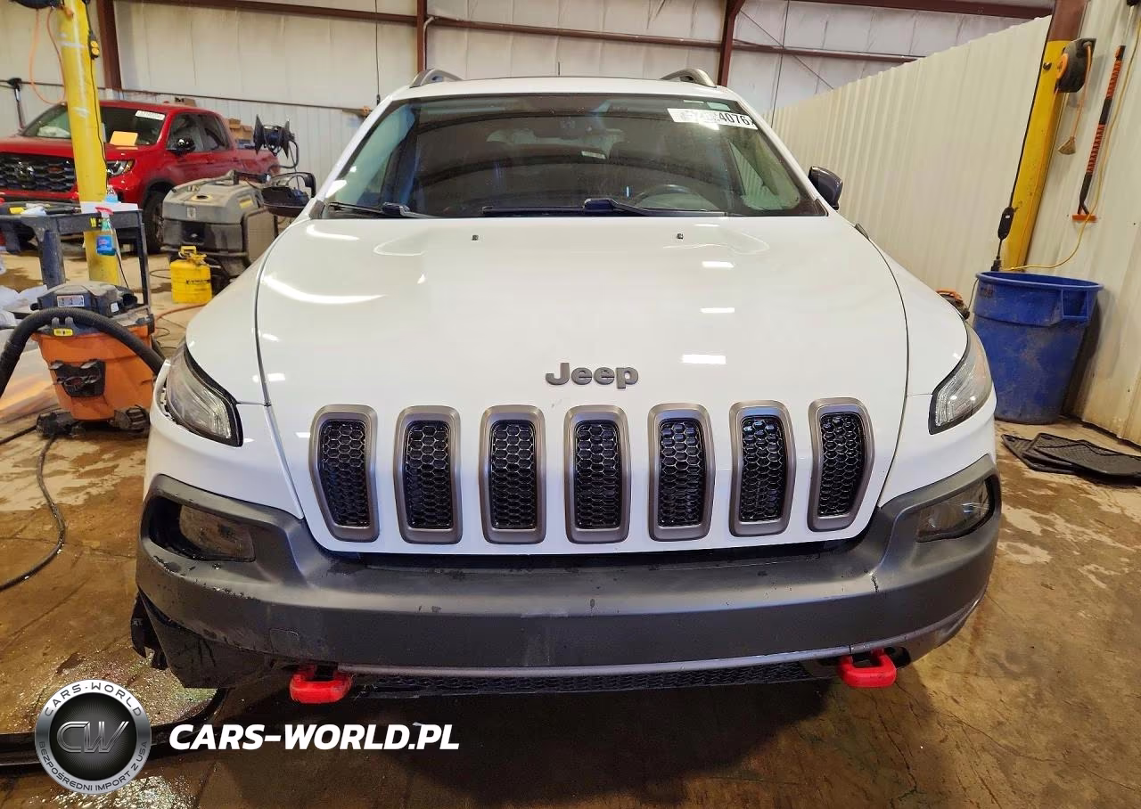 2017 Jeep Cherokee Trailhawk VIN:1C4PJMBS4HD217573 - 5