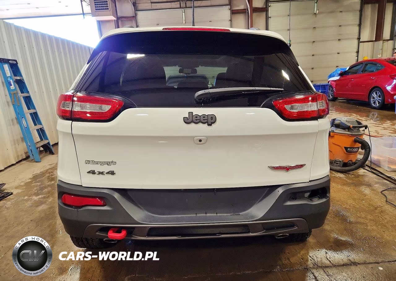 2017 Jeep Cherokee Trailhawk VIN:1C4PJMBS4HD217573 - 6