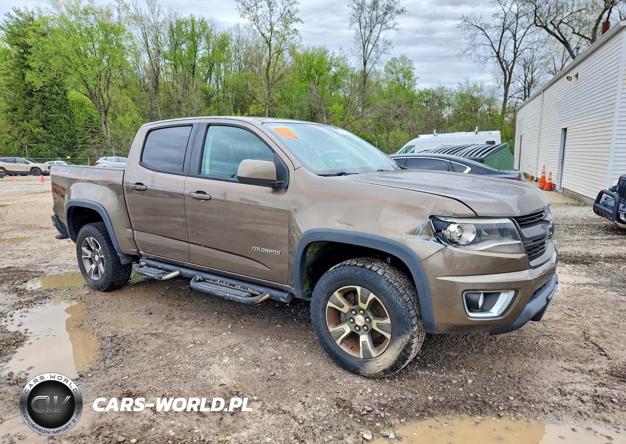 2016 Chevrolet Colorado Z71 VIN:1GCGTDE38G1121976 - 4