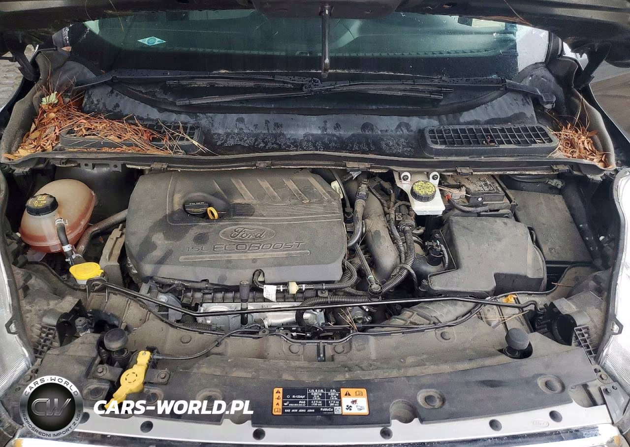 2018 Ford Escape Se VIN:1FMCU9GD0JUA43757 - 11