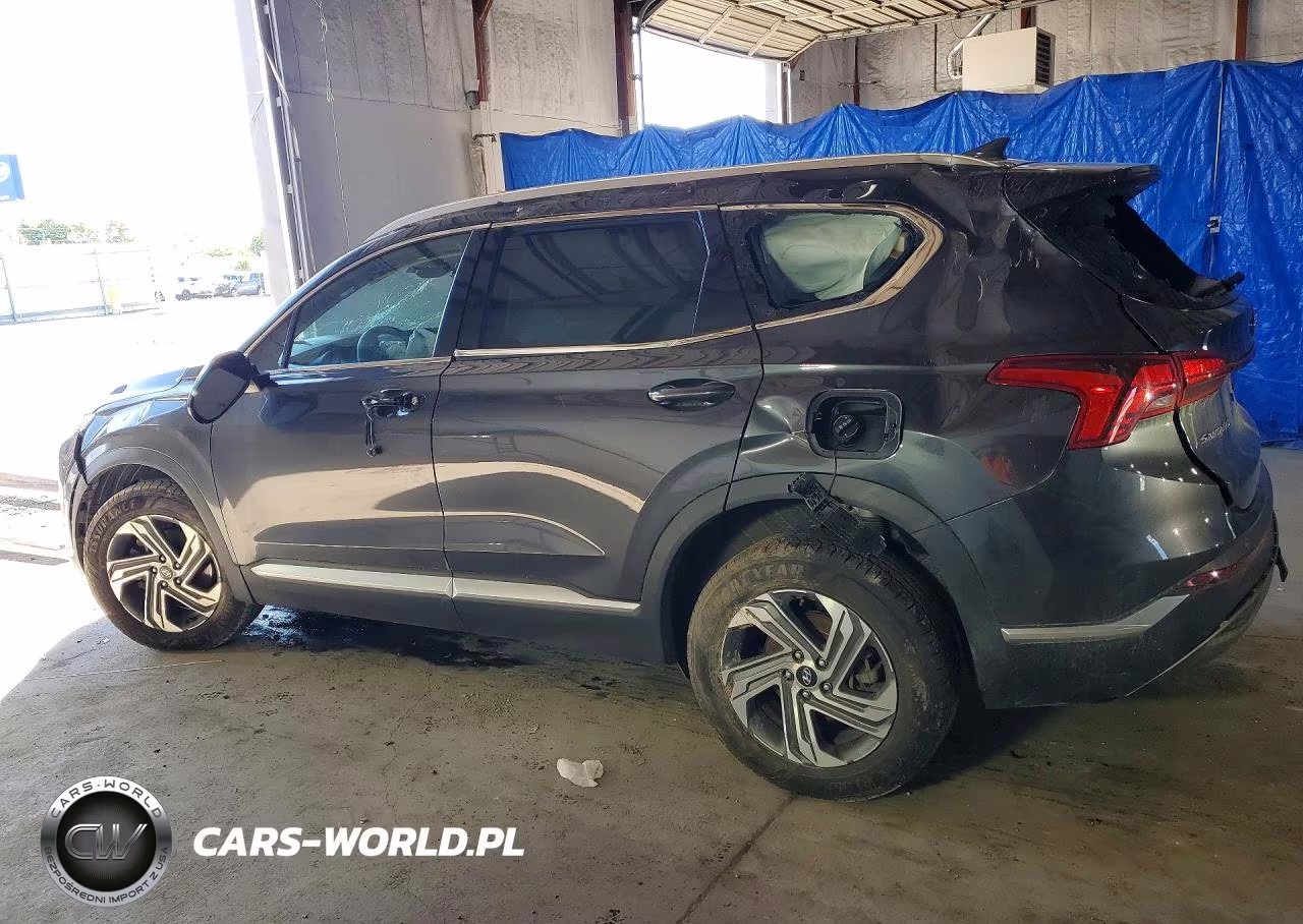 2021 Hyundai Santa Fe Sel VIN:5NMS2DAJ2MH357963 - 2