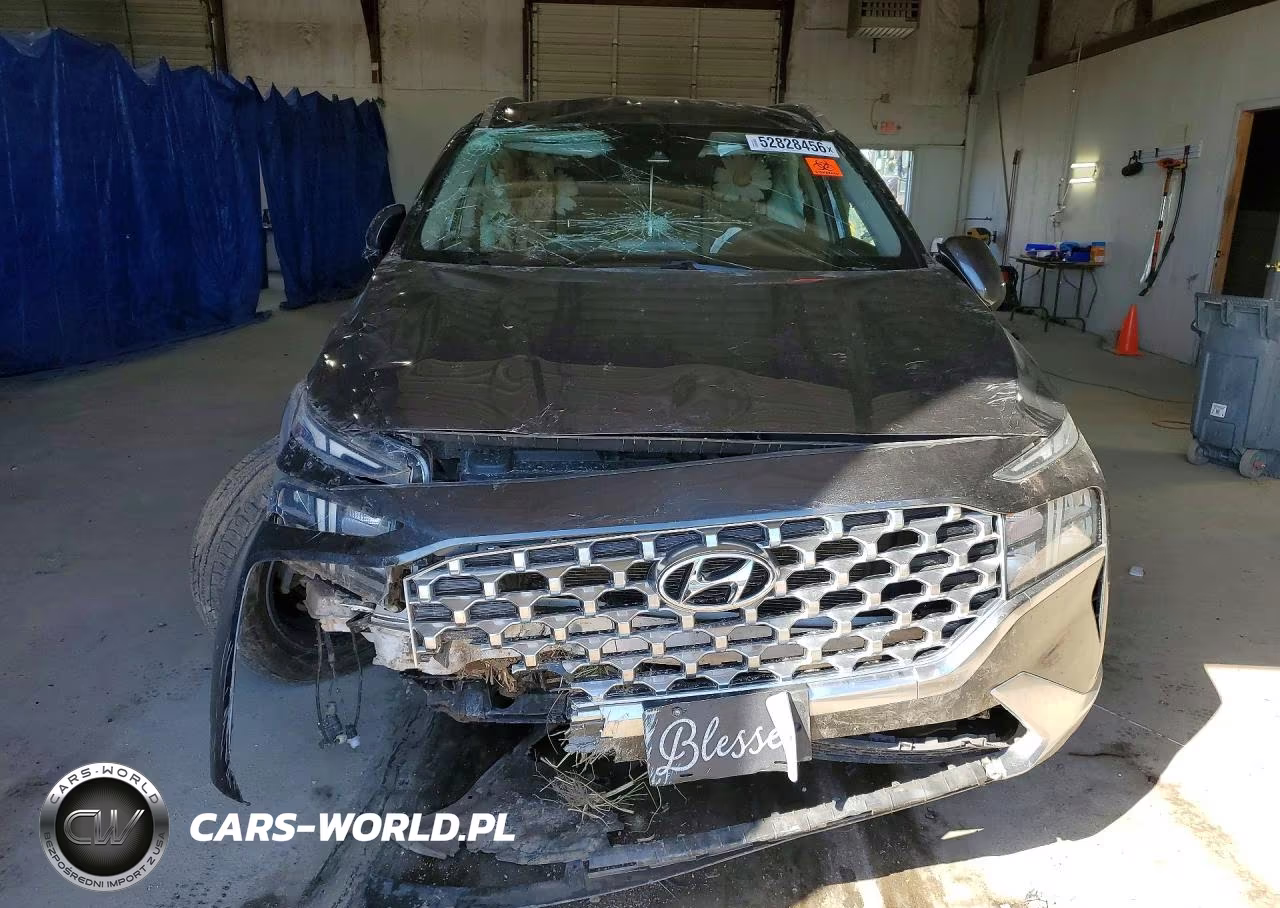 2021 Hyundai Santa Fe Sel VIN:5NMS2DAJ2MH357963 - 5