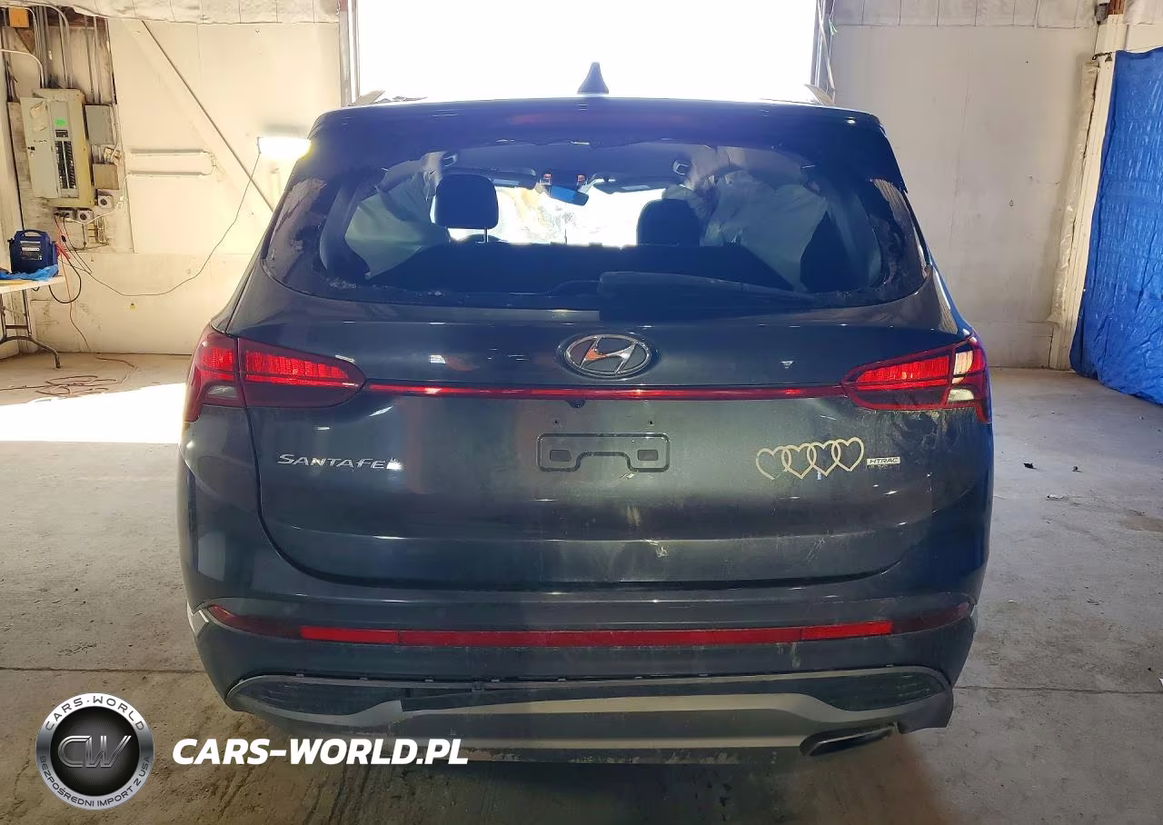 2021 Hyundai Santa Fe Sel VIN:5NMS2DAJ2MH357963 - 6