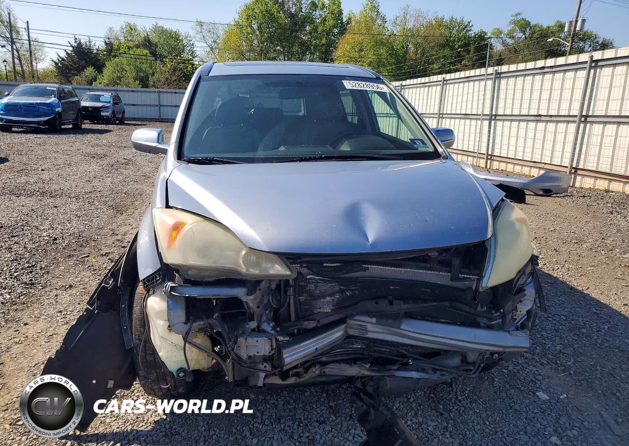 2010 Honda Cr-V Exl VIN:5J6RE4H79AL006035 - 5