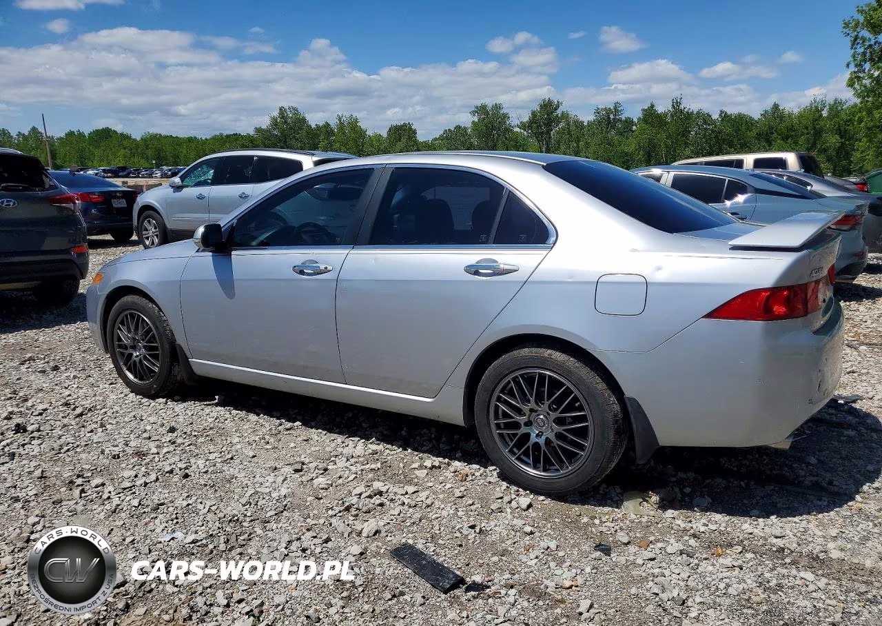 2004 Acura Tsx VIN:JH4CL96854C038445 - 2