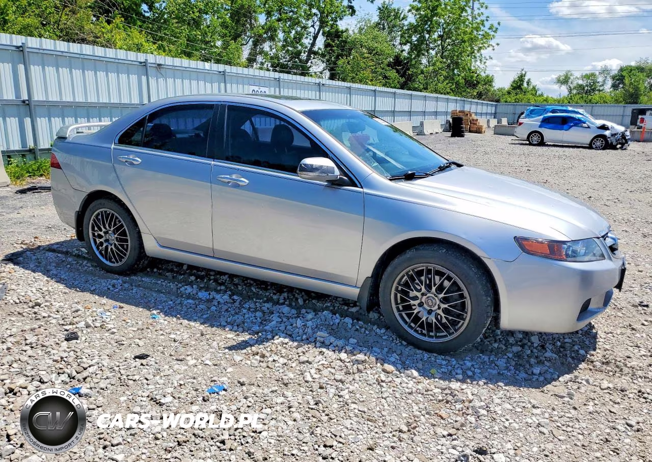2004 Acura Tsx VIN:JH4CL96854C038445 - 4