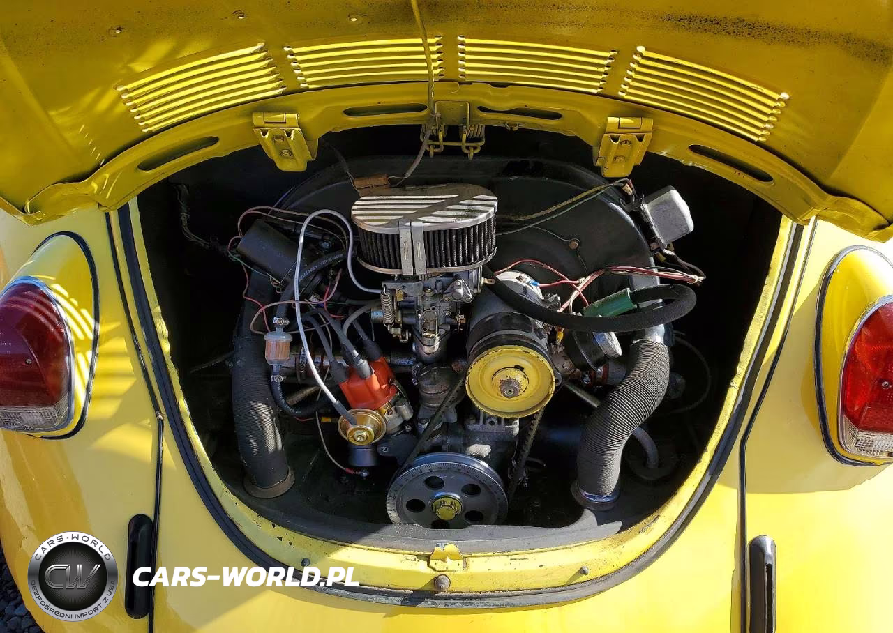 1969 Volkswagen Beetle VIN:1191071283 - 11