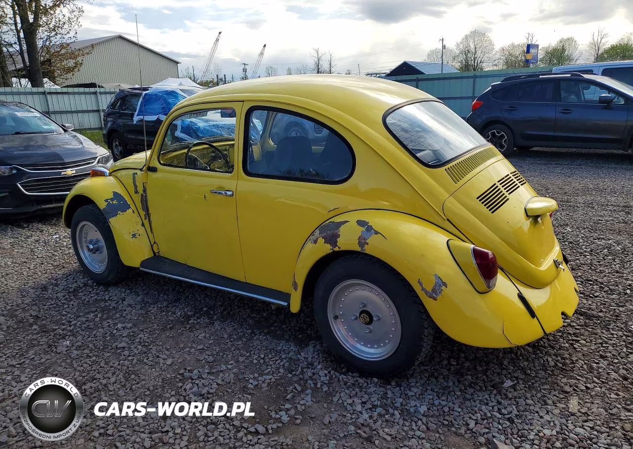 1969 Volkswagen Beetle VIN:1191071283 - 2