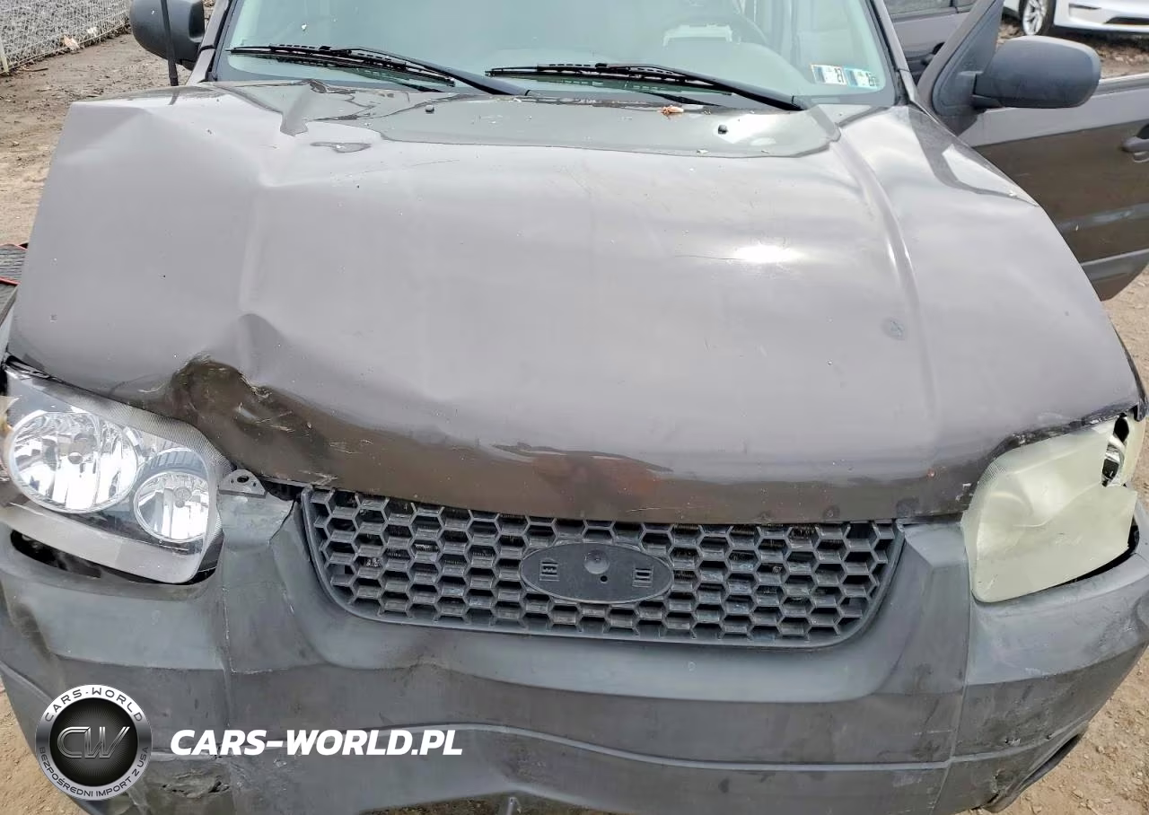 2006 Ford Escape Xls VIN:1FMYU92Z76KB56925 - 12