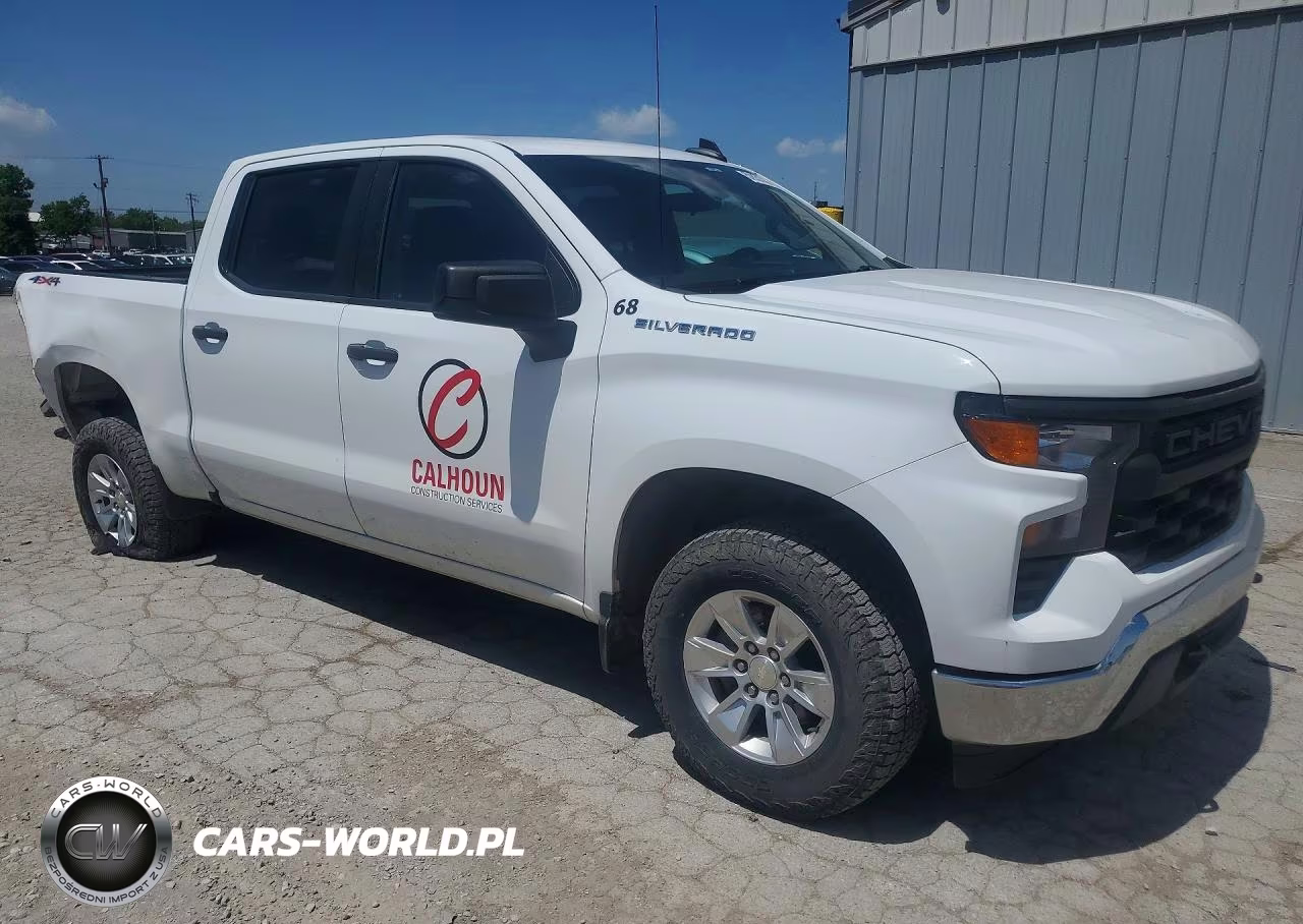 2022 Chevrolet Silverado K1500 VIN:3GCUDAED9NG503794 - 4