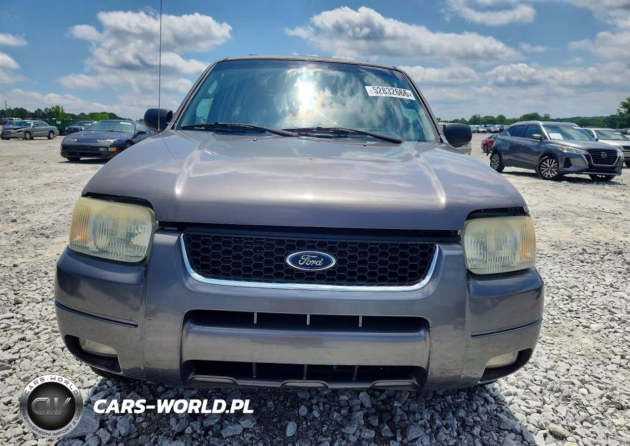 2013 Ford Escape VIN:1FMCU04193KD48243 - 5